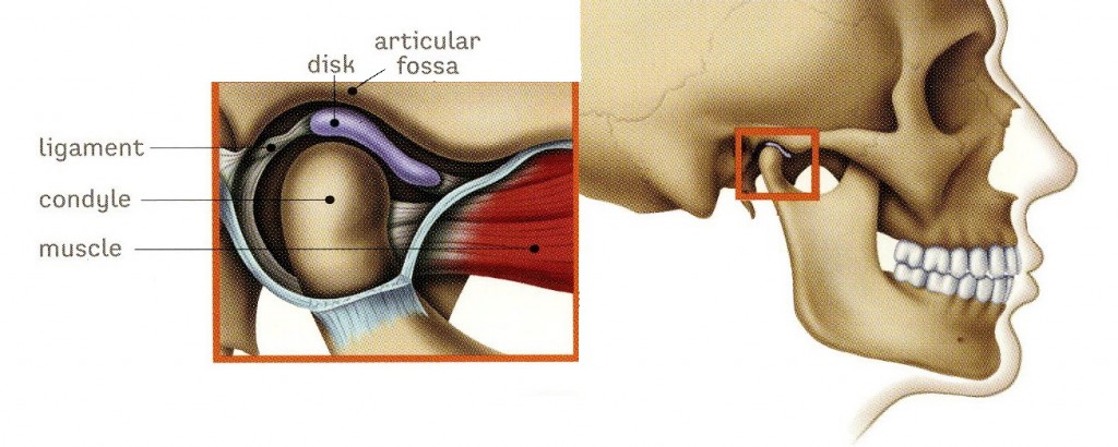 TMJ-1024x410
